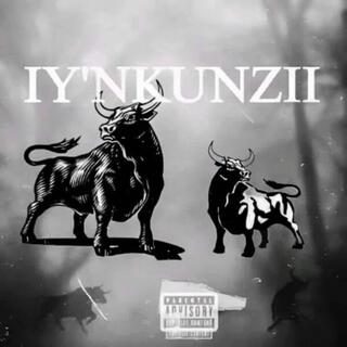 Iy'Nkunzi (feat. Rafman Rsa & Jumbo SA)