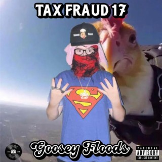 Tax Fraud 17