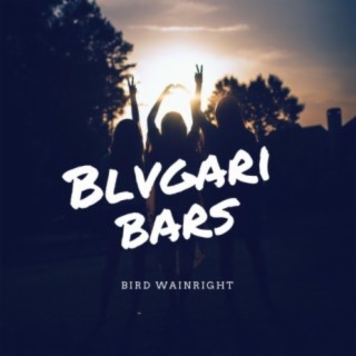 Blvgari Bars Features