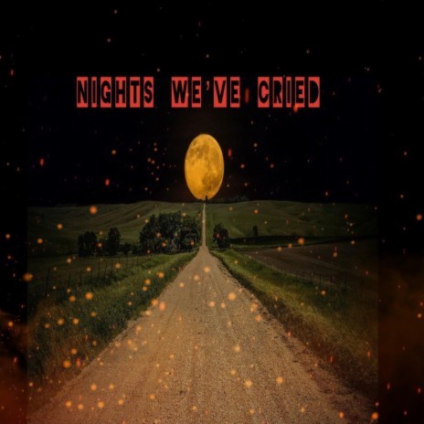 NIGHTS WE'VE CRIED | Boomplay Music