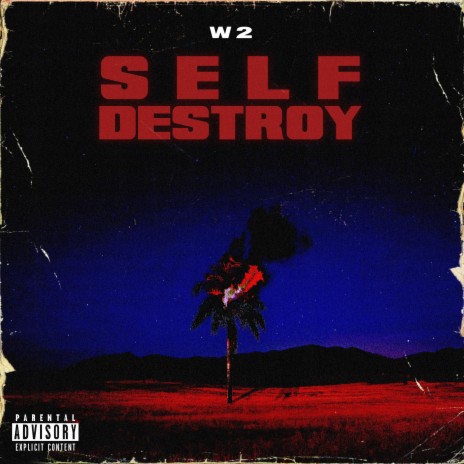 SELF DESTROY | Boomplay Music