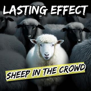 Sheep in the Crowd lyrics | Boomplay Music