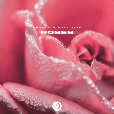 Roses ft. Soft Tide | Boomplay Music