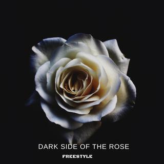 Dark Side of the Rose lyrics | Boomplay Music