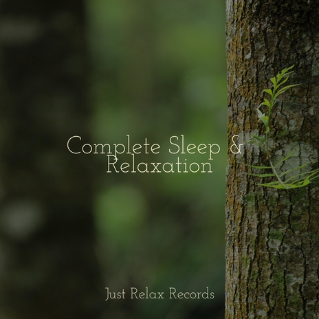 Orbiting Jewels in Twilight ft. Música ambiental relajante & Music For Absolute Sleep | Boomplay Music