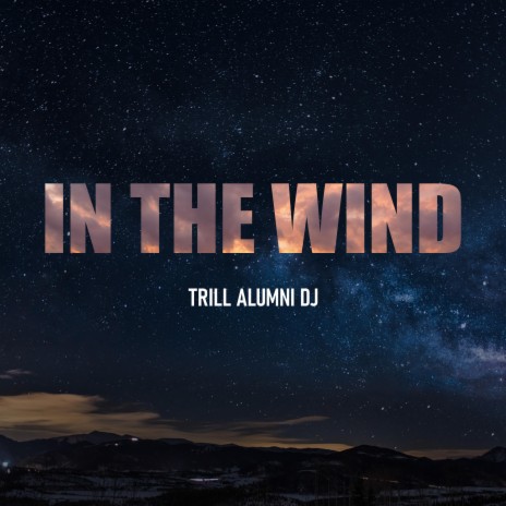 In The Wind | Boomplay Music