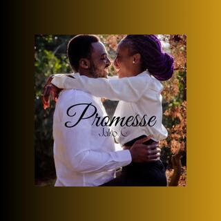 Promesse lyrics | Boomplay Music