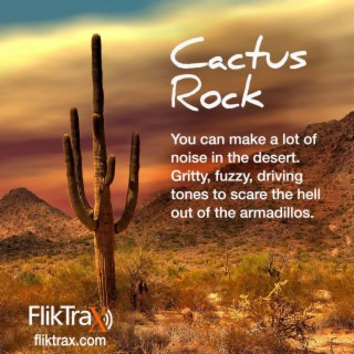 FlikTrax Cactus Rock