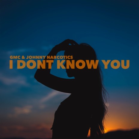 I Dont Know You ft. Johnny Narcotics