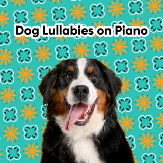 Dog Lullabies on Piano
