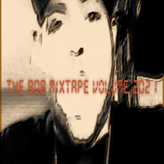 Flies On The Poop ft. Mr 808 & Oryn the Rebel lyrics | Boomplay Music