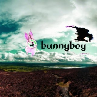 bunnyboy (feat. SEBii & LOWTOW)