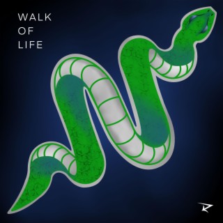 Walk of Life lyrics | Boomplay Music
