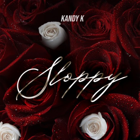 Sloppy | Boomplay Music