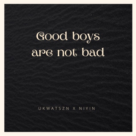 Good Boys Are Not Bad ft. Niyin