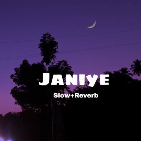 Janiye (Slow+Reverb) | Boomplay Music