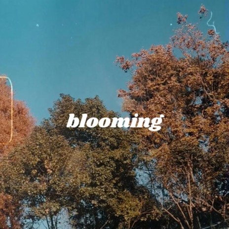 BLOOMING | Boomplay Music