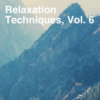 Relaxation Techniques, Vol. 6