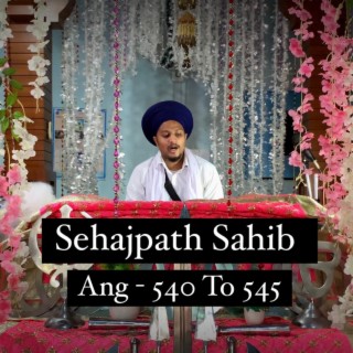 Sehajpath Sahib Ang 540 To 545