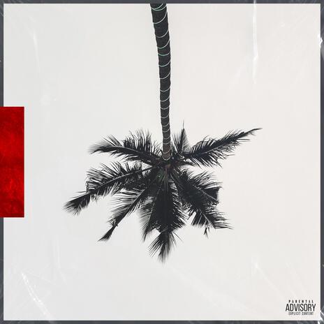 Coconut Trees | Boomplay Music