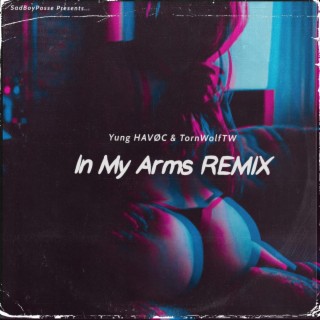 In My Arms (Remix)