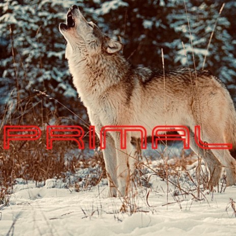 Primal | Boomplay Music