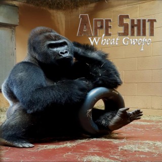 Ape Shit