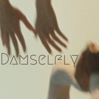 Damselfly lyrics | Boomplay Music
