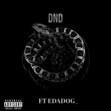 DND ft. EDADOG_ | Boomplay Music