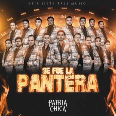 Se Fue la Pantera (En Vivo) | Boomplay Music