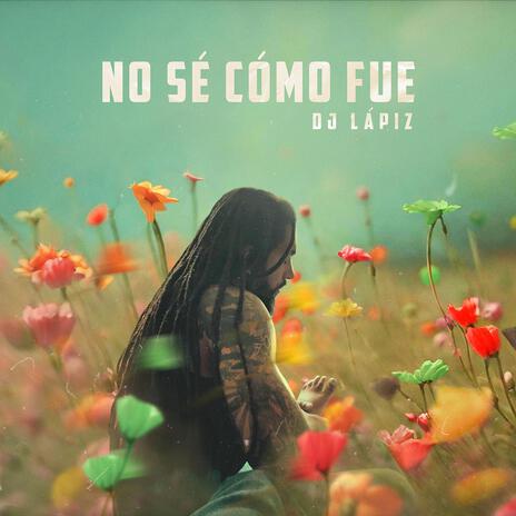 No se como fue | Boomplay Music