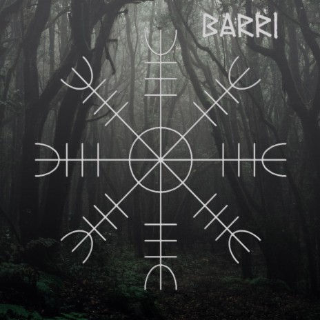 Barri | Boomplay Music