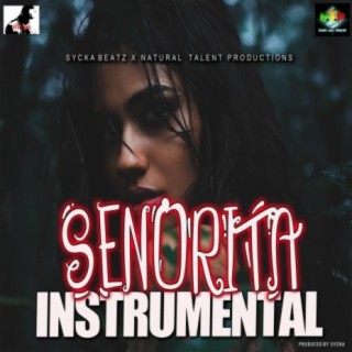 SENORITA INSTRUMENTAL