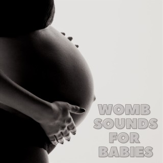 Womb Sounds for Babies