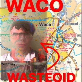 Wasteoid