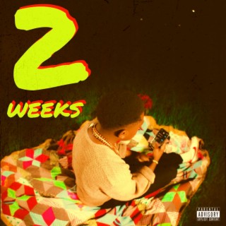 2 WEEKS