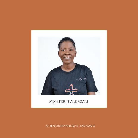 Ndinoshamiswa Kwazvo | Boomplay Music