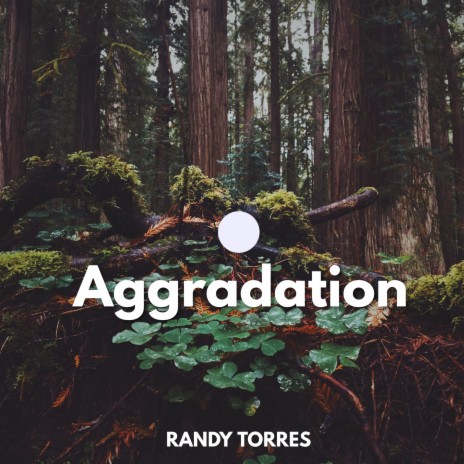Aggradation | Boomplay Music