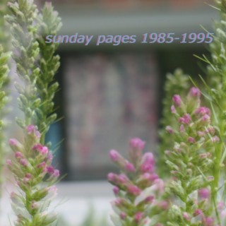 Sunday Pages 1985-1995