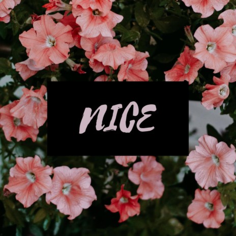 Nice | Boomplay Music