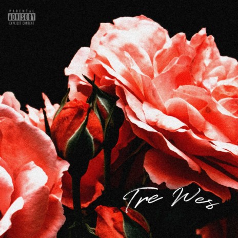 Smell The Roses | Boomplay Music