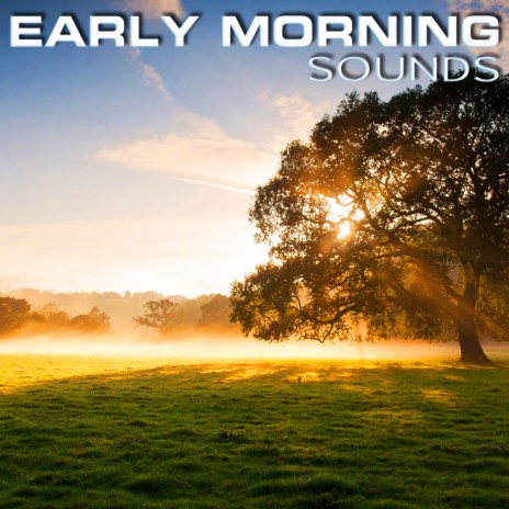 Soothing Early Morning Sounds ft. Soundscapes of Nature, The Nature Sound, Calming White Noise, Birds Sounds & Nature Atmosphere Sound | Boomplay Music