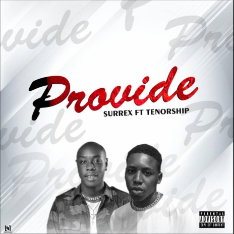 Provide (feat. Tenorship) | Boomplay Music