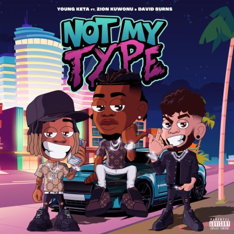 Not My Type ft. Zion Kuwonu & David Burns | Boomplay Music