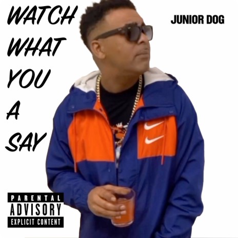 Watch What You a Say | Boomplay Music