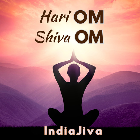 Hari Om Shiva Om | Boomplay Music