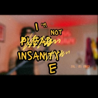 I Plead Insanity