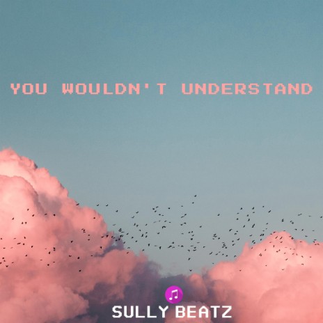 You Wouldn't Understand | Boomplay Music
