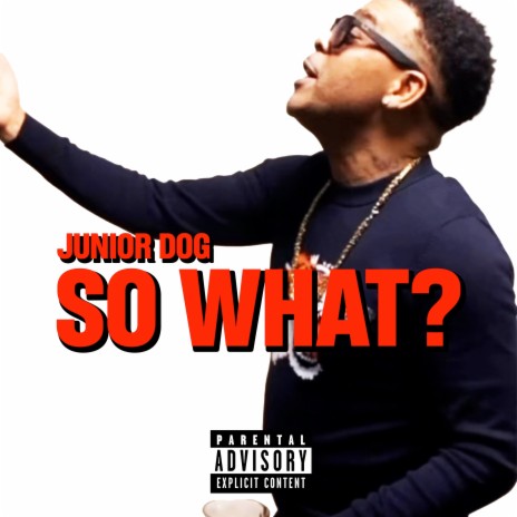 So What? | Boomplay Music