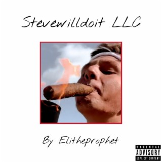 Stevewilldoit LLC